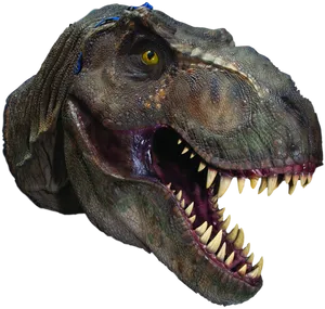 Fierce_ Tyrannosaurus_ Rex_ Head PNG image