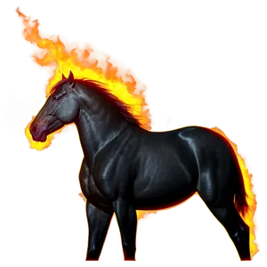 Fiery Black Stallion Spirit PNG 47 PNG