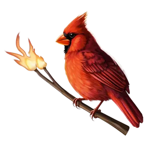 Fiery Cardinal Art Png 70 PNG image