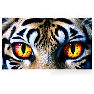 Fiery Eyes Tiger PNG Aqq PNG