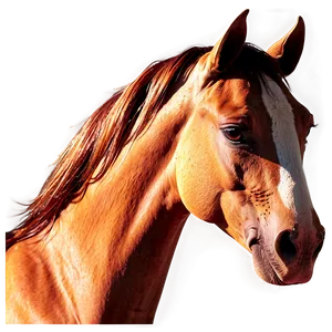 Fiery Horse Head Representation PNG Ubi56 PNG