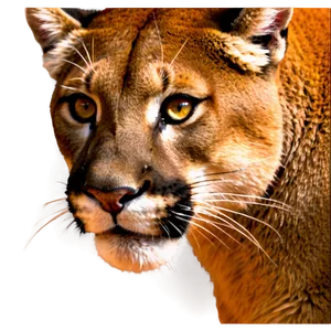 Fiery Mountain Lion Eyes PNG Ijr62 PNG