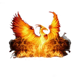 Fiery Phoenix Artwork