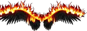 Fiery Phoenix Wings PNG image