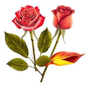 Fiery Rose PNG Iat