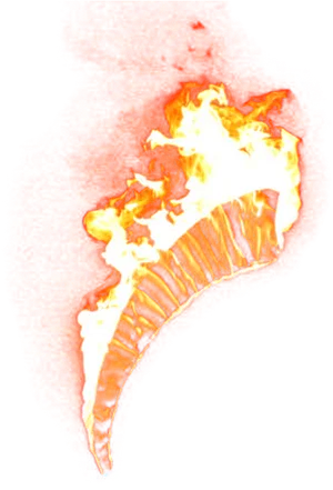 Fiery Shell Art Effect PNG image