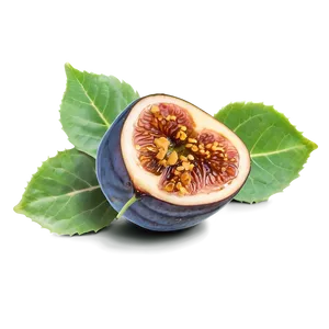 Figs And Honey PNG Fhi35