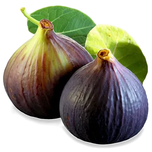 Figs B