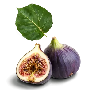 Figs Composition Png 06252024 PNG image