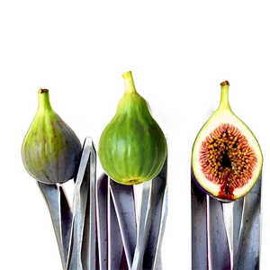 Figs In A Row Png 06252024 PNG image