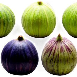 Figs In A Row Png 06252024 PNG image