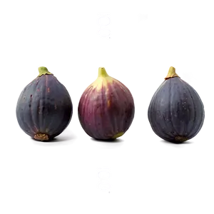 Figs In A Row Png 06252024 PNG image