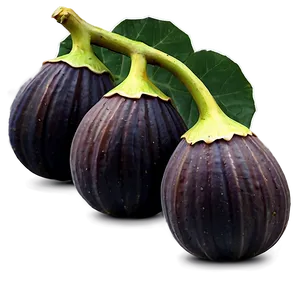 Figs On Vine Png 89 PNG image