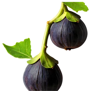 Figs On Vine Png Fwu72 PNG image