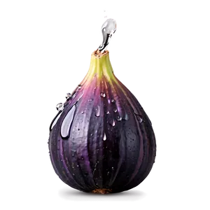 Figs With Drops Of Water PNG 92