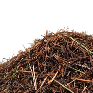Fine Pine Needle Mulch PNG 06132024 PNG