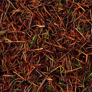 Fine Pine Needle Mulch PNG Xaf PNG