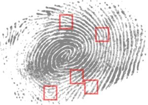 Fingerprint Analysis Red Markers PNG image