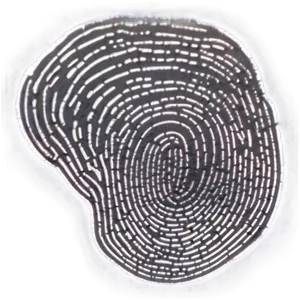 Fingerprint On Dusty Surface Png Wak33 PNG image
