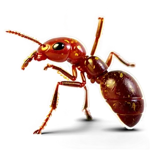 Fire Ant Environmental Impact PNG Emt