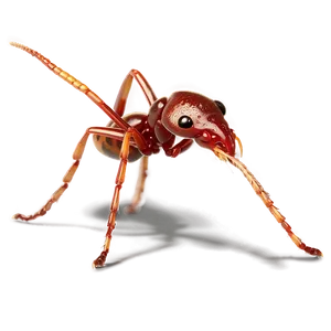 Fire Ant Eradication Technique PNG Ybs62 PNG