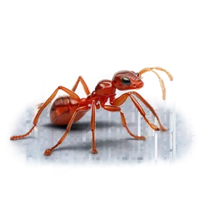 Fire Ant Observation Journal PNG 06292024