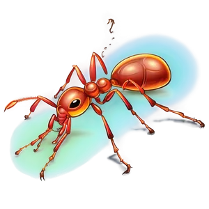 Fire Ant Scientific Illustration PNG 18