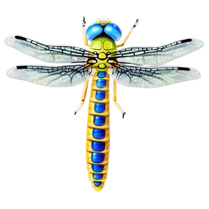 Fire Dragonfly PNG 05212024 PNG