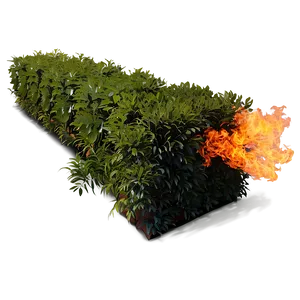 Fire-resistant Bush Png Moo2 PNG image