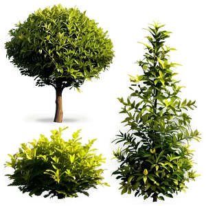 Fire Resistant Shrubs Png 11 PNG image