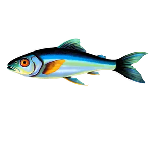 Fish Drawing Transparent PNG 73 PNG
