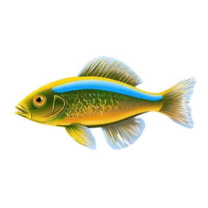 Fish Drawing Transparent PNG Ehh25 PNG