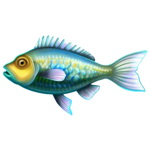 Fish Drawing Transparent PNG Mve PNG