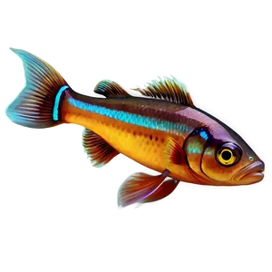 Fish Fin Transparent PNG 05262024