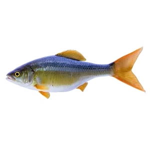 Fish Food Transparent PNG Vyp37 PNG
