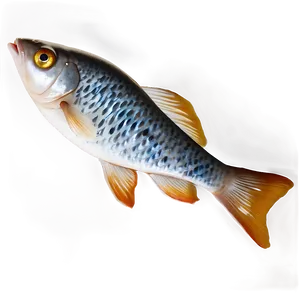 Fish Icon Transparent PNG 20