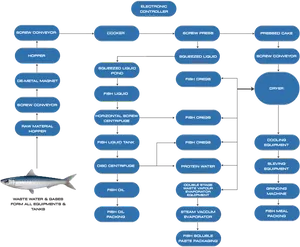 Fish Processing Flowchart Diagram PNG