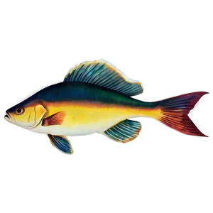 Fish Shape Png 28 PNG image