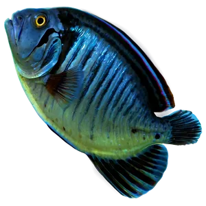 Fish Shape Png Hcw23 PNG image