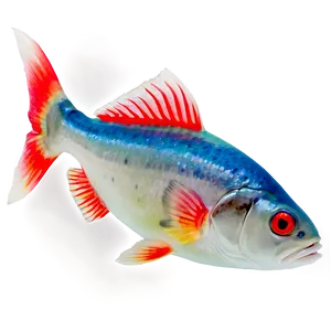 Fish Shape PNG Ilt63