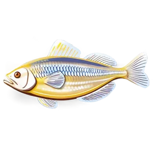 Fish Sketch Transparent PNG Gqr