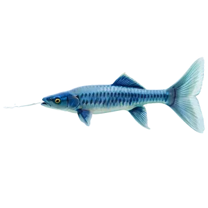 Fish Tail Transparent PNG 05262024