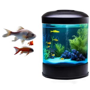 Fish Tank B PNG