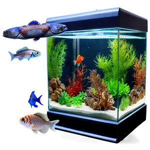 Fish Tank Background PNG Qlr PNG