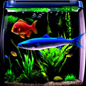 Fish Tank C PNG