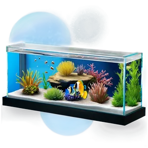 Fish Tank Divider PNG Bbk PNG