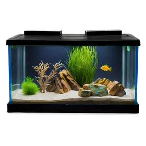 Fish Tank Furniture PNG 06122024