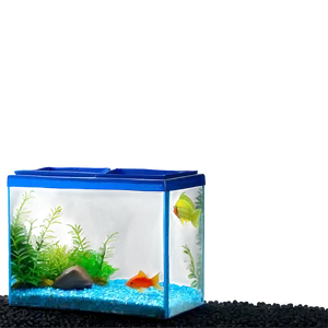 Fish Tank Gravel PNG Mmj