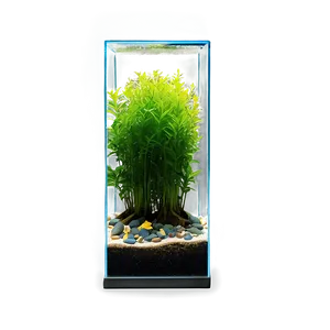 Fish Tank Plants Png 06122024 PNG image