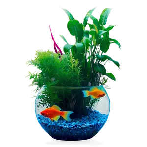 Fish Tank Plants PNG Xvv PNG